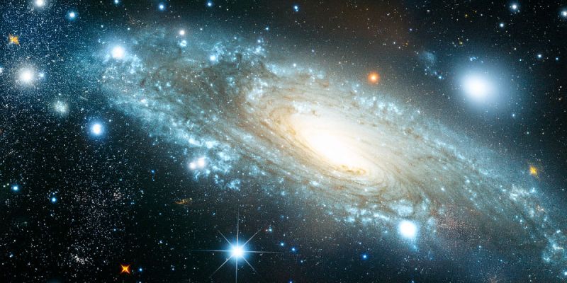 Das Multiversum: Eine Multidimensionale Vision